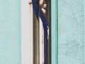 Black-throated Magpie-Jay