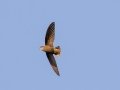 Sick's Swift - Estrada dos Prates, 327, Petrópolis, Rio de Janeiro, Brazil - 9-10-2022