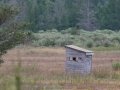 Sharp-tailed Grouse Blind - Seney NWR - Driggs River Rd,  Schoolcraft County, MI, June 10, 2021