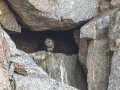 Barn Owls - Langebaan Quarry, Western Cape, ZA on Fri Nov 29, 2024 Barn Owls - Langebaan Quarry, Western Cape, ZA on Fri Nov 29, 2024
