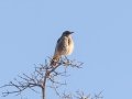 Southern Fiscal - R355, Springbok ZA-Northern Cape -29.70316, 17.95090, Northern Cape, South Africa, Dec 2, 2024 Southern Fiscal - R355, Springbok ZA-Northern Cape -29.70316, 17.95090, Northern Cape, South Africa, Dec 2, 2024