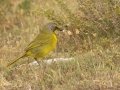 Bookmakierie - De Hoop Nature Reserve, Cape Agulhas ZA-Western Cape (-34.4467,20.4223), Western Cape, ZA on Wed Nov 27, 2024 Bookmakierie - De Hoop Nature Reserve, Cape Agulhas ZA-Western Cape (-34.4467,20.4223), Western Cape, ZA on Wed Nov 27, 2024