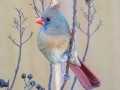 Northern Cardinal (female) - Yard Birds - Clarksville, Montgomery County, January 14, 2021